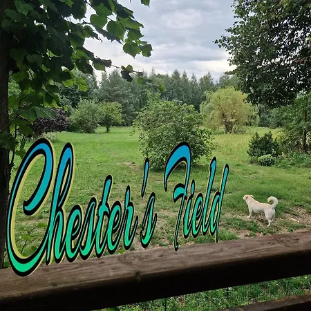 Pole Namiotowe Chester's Field It's Genius! *