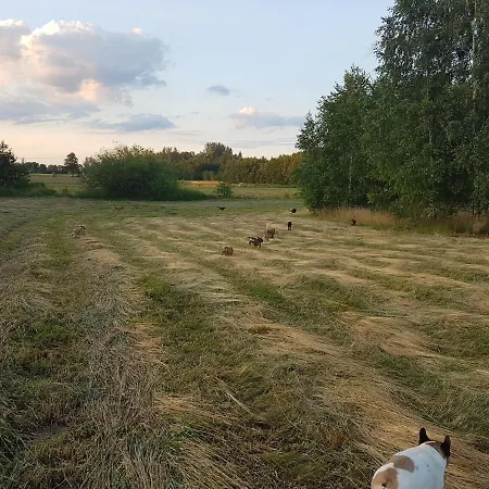 Hotel Pole Namiotowe Chester's Field It's Genius! Kampinos