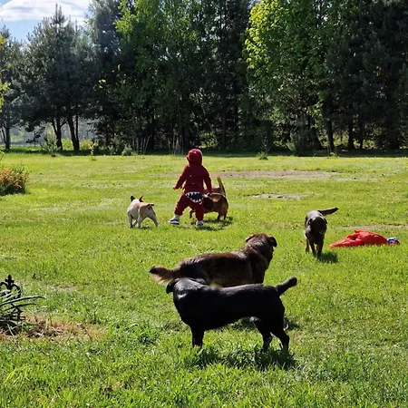 Pole Namiotowe Chester's Field It's Genius! Hotel