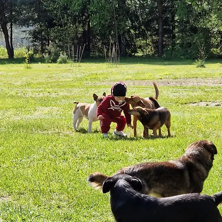 Hotel Pole Namiotowe Chester's Field It's Genius! Kampinos