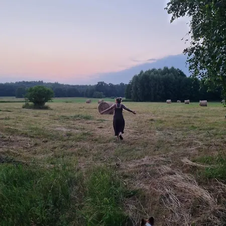 Pole Namiotowe Chester's Field It's Genius!