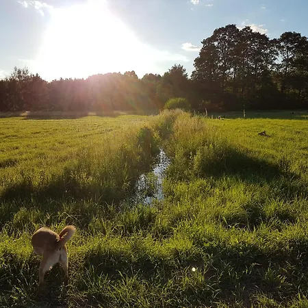 Pole Namiotowe Chester's Field It's Genius! * Kampinos