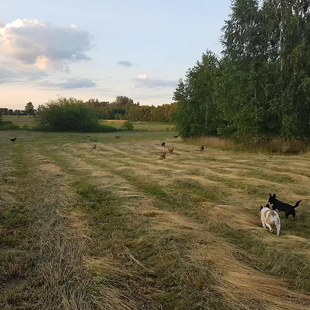 Pole Namiotowe Chester's Field It's Genius! Hotel