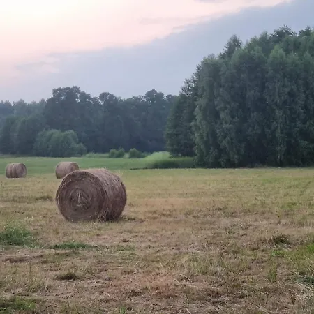 Pole Namiotowe Chester's Field It's Genius! *