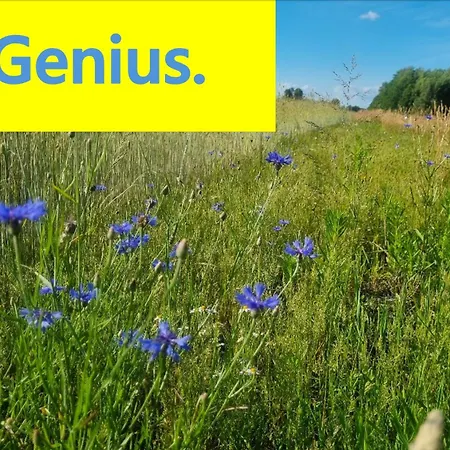 Hotel Pole Namiotowe Chester's Field It's Genius! Kampinos