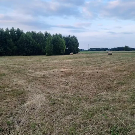 Pole Namiotowe Chester's Field It's Genius! Hotel Kampinos