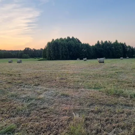 Pole Namiotowe Chester's Field It's Genius! Kampinos