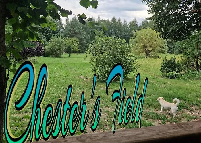 Pole Namiotowe Chester's Field It's Genius! *