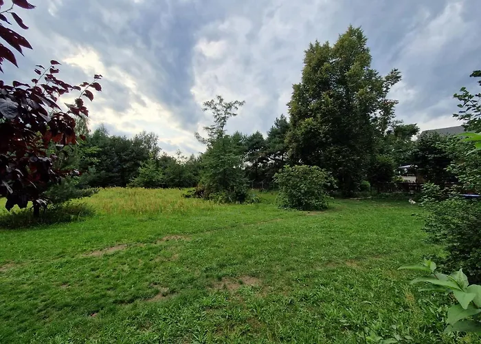 Pole Namiotowe Chester's Field It's Genius! * Kampinos