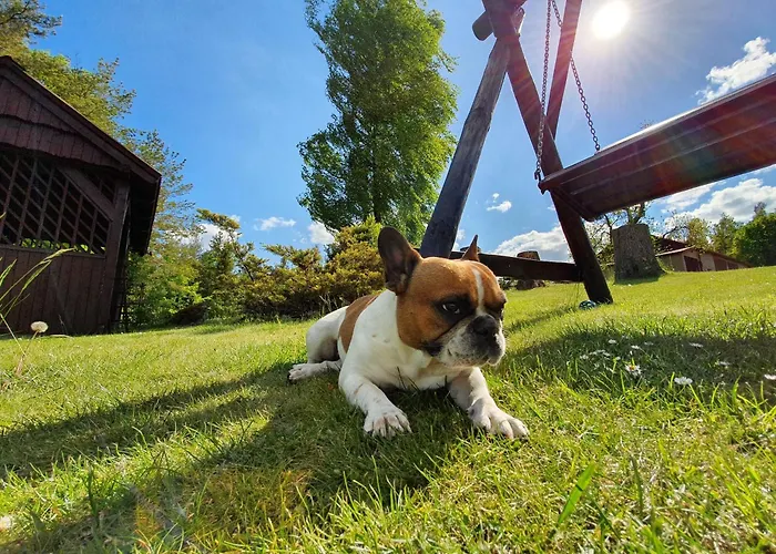 Pole Namiotowe Chester's Field It's Genius! Hotel *