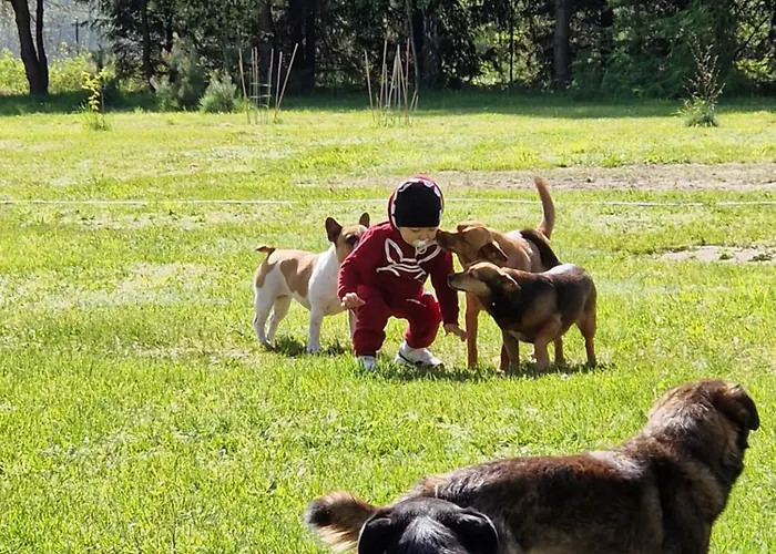 Hotel Pole Namiotowe Chester's Field It's Genius! Kampinos