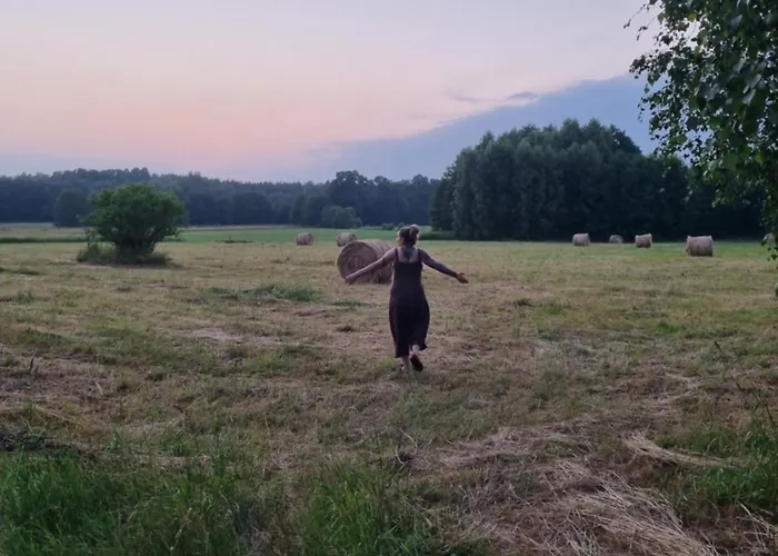 Pole Namiotowe Chester's Field It's Genius!