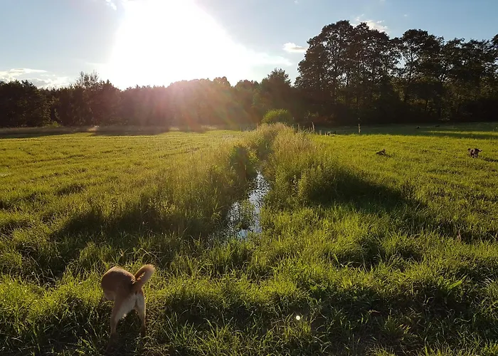 Pole Namiotowe Chester's Field It's Genius! * Kampinos