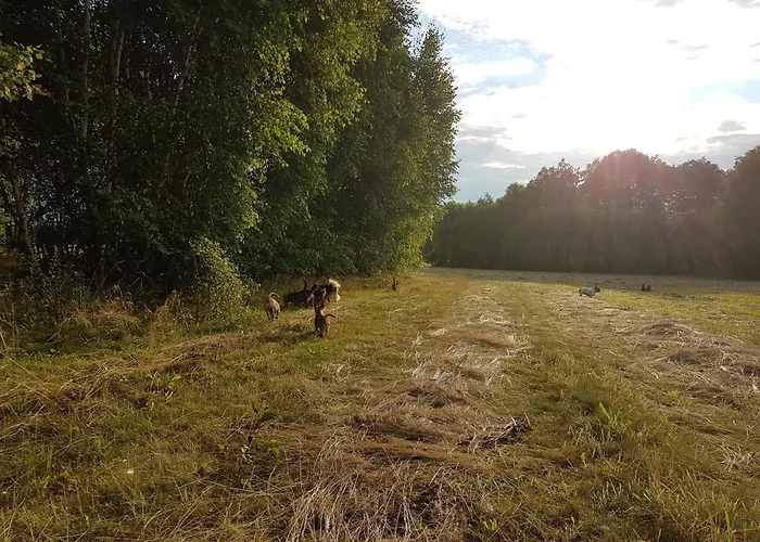 Pole Namiotowe Chester's Field It's Genius! Hotel *