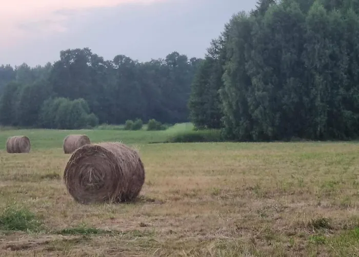 Pole Namiotowe Chester's Field It's Genius! *