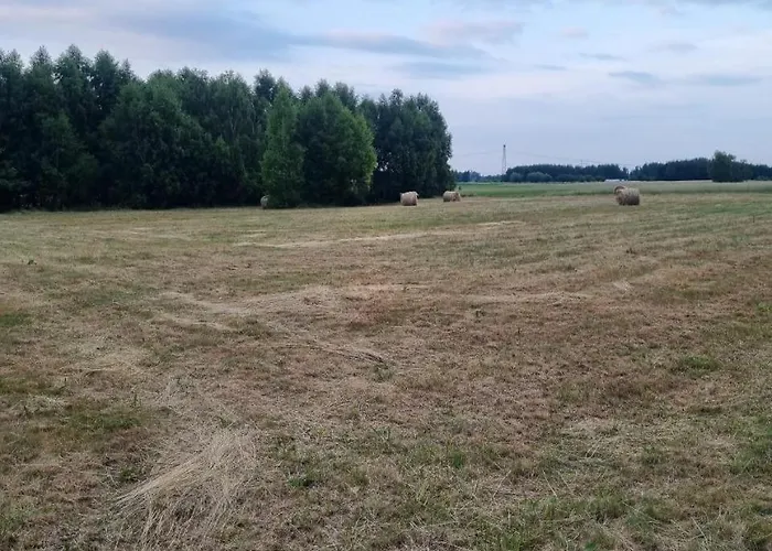 Pole Namiotowe Chester's Field It's Genius! Hotel Kampinos